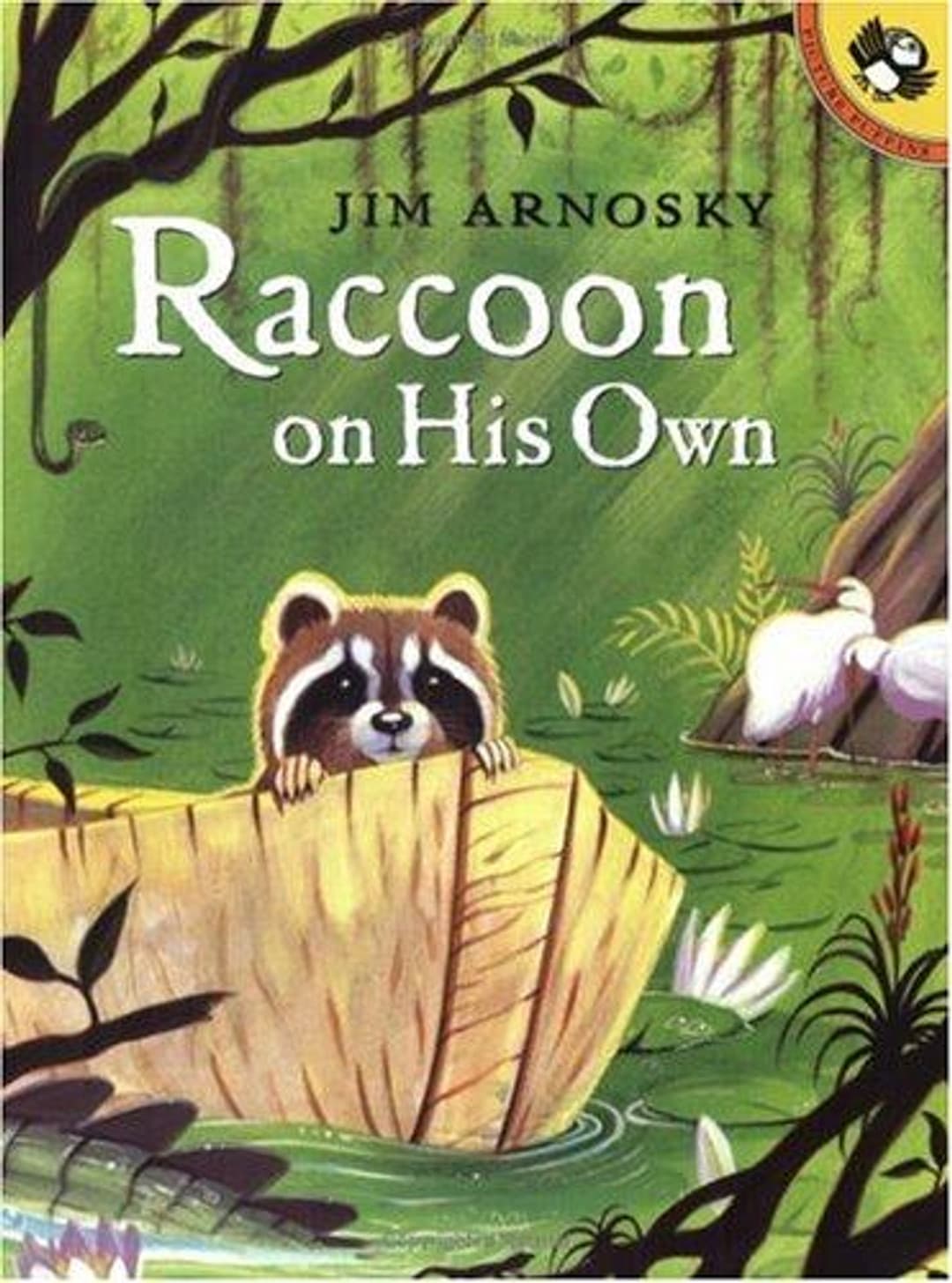 Raccoon on His Own